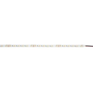 Havana Ribbon Tunable White